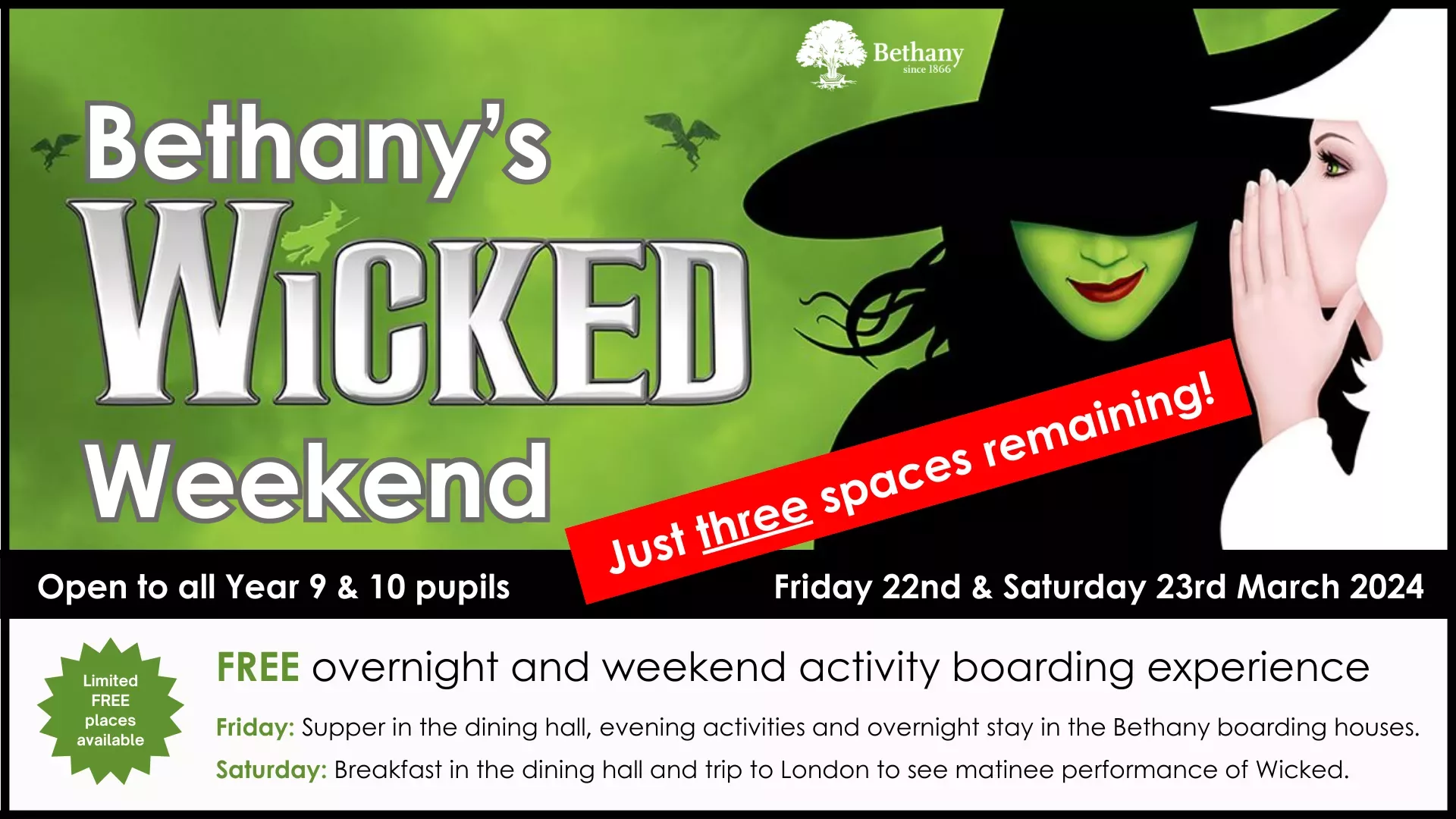 Wicked Weekend (Newsletter)